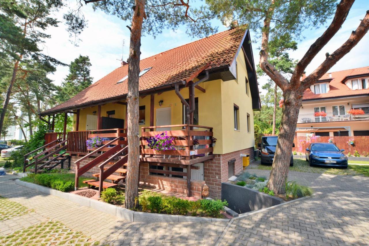 Sosnowka Holiday home *